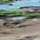Thumbnail: Littoral