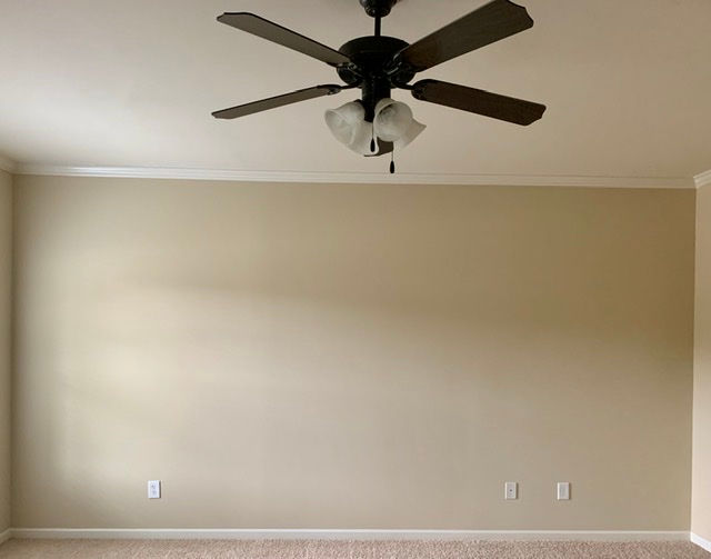 Living Room Wall