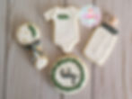 Decorated Sugar Cookies