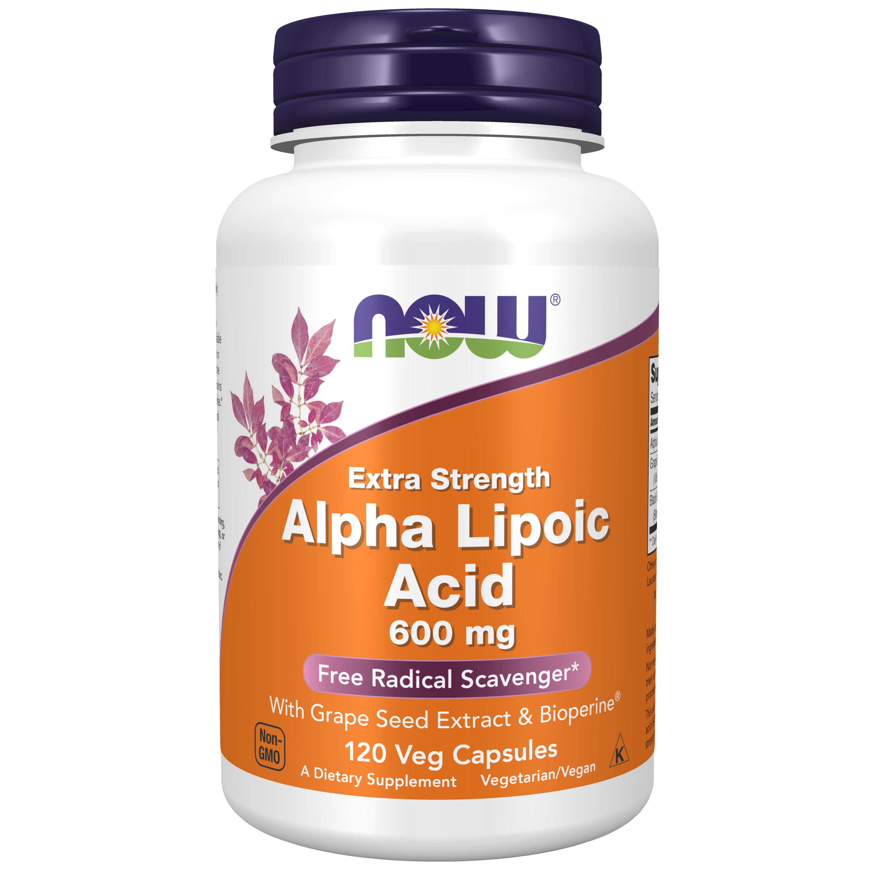 Alpha Lipoic Acid, Extra Strength 600 mg - 120 Veg Capsules