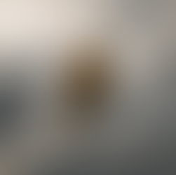 B1.3 Licensed Engineer (AW109 or AW139)