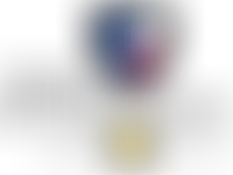 Texas Military Forces Museum: Living History Weekend