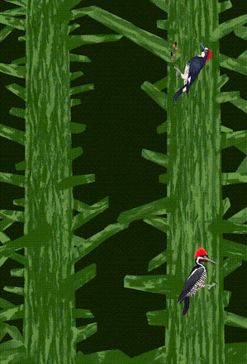 unnamed (2).gif