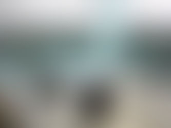 業主的眼睛在說話