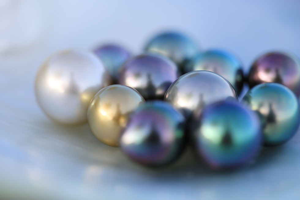 Un joyau né de la mer