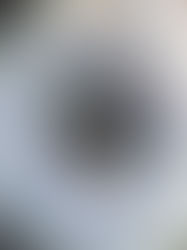 The Orient: the signature of Tahitian Pearls