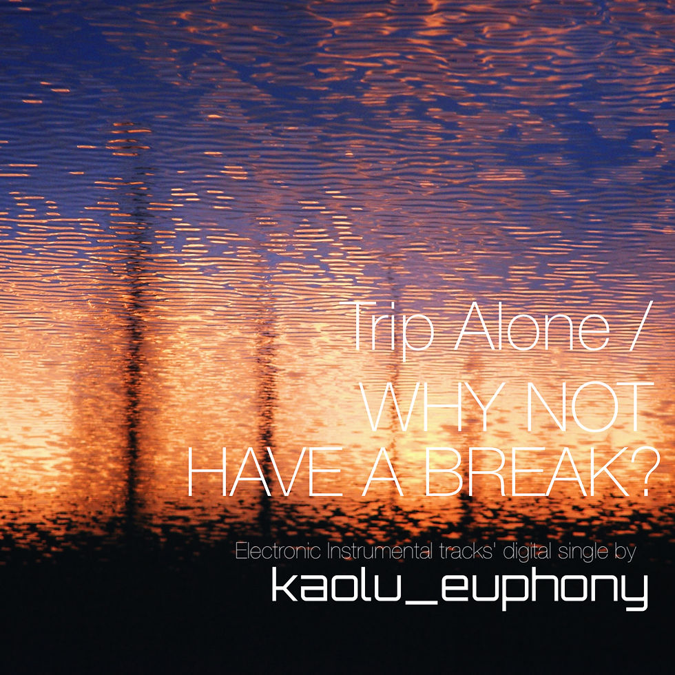 Trip Alone / WHY NOT HAVE A BREAK?