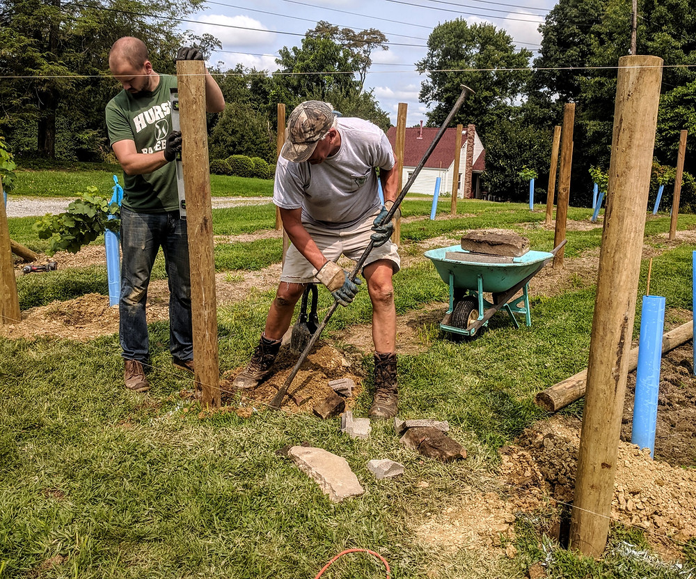 Setting End Posts for Vineyard