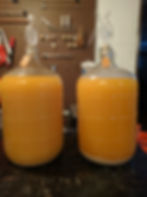 Primary Fermenter, Carboys
