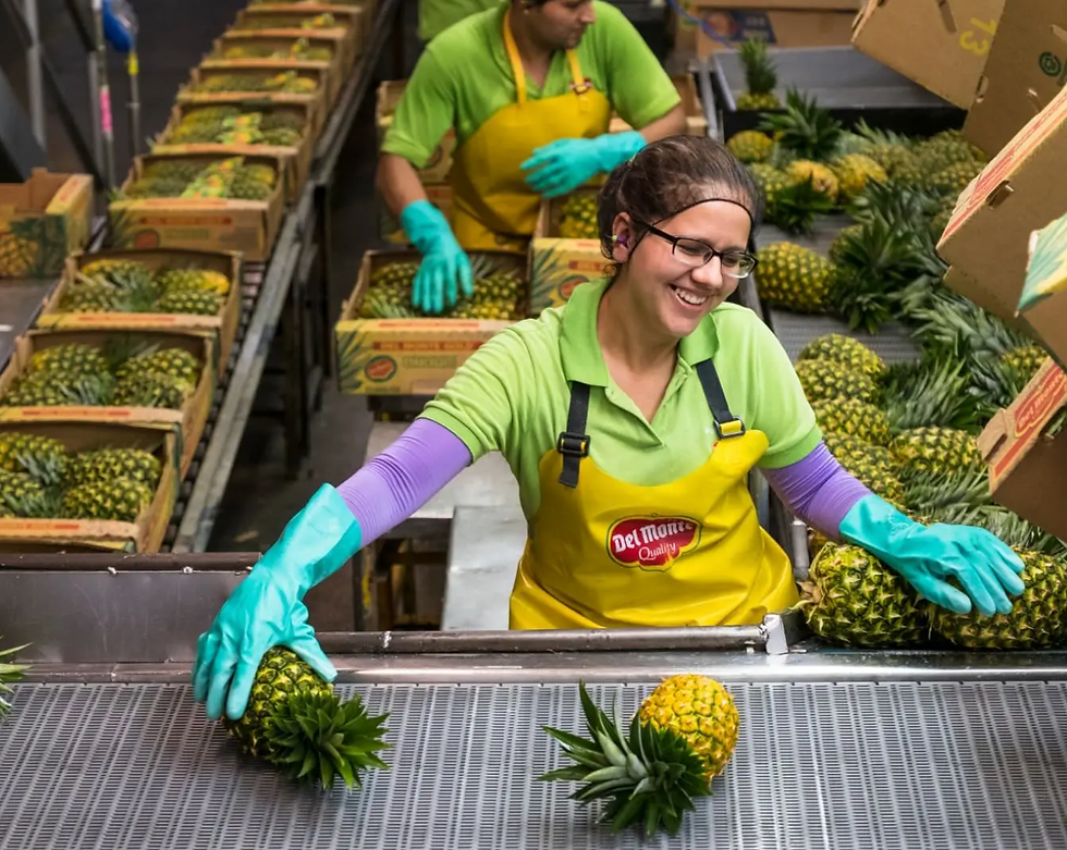 Fresh Del Monte Pineapple processing plant