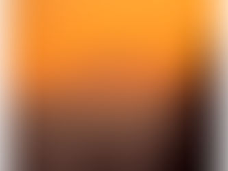 YA WIP November 2019 Progress Report