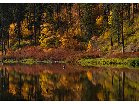 Thoughts On Planning