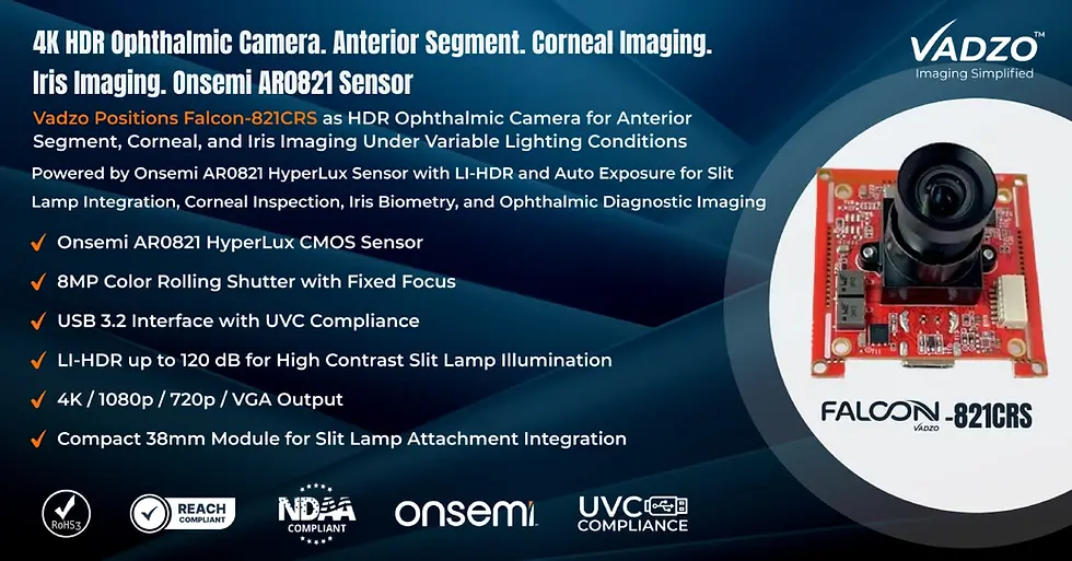 Colorized Mri Segment HDR Ophthalmic Camera | Vadzo