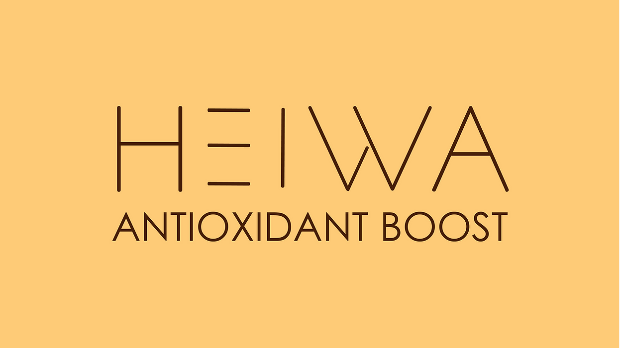 pk431_fall2023_Redesign Process Book_Christine Lee-53.png