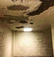 Mold and Leaks headinthefire.jpg