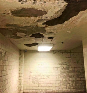 Mold and Leaks headinthefire.jpg