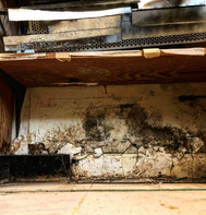 Mold headinthefire.jpg