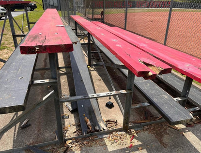 Bleachers aster_ology.jpg