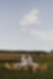 Field Photo.jpg