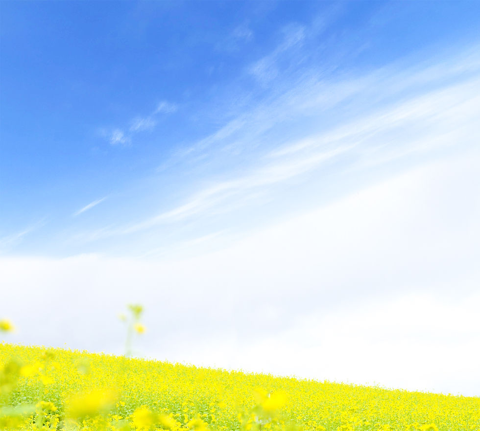 トップ背景.jpg