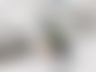 A Beginner’s Guide to SNO-GO Rentals in Vail and Beaver Creek