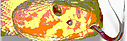 e52ea0_76da40af6fd749dbadfc7ecb3ac01fc4.