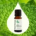 Thumbnail: Organic Peppermint Essential Oil 10 Ml