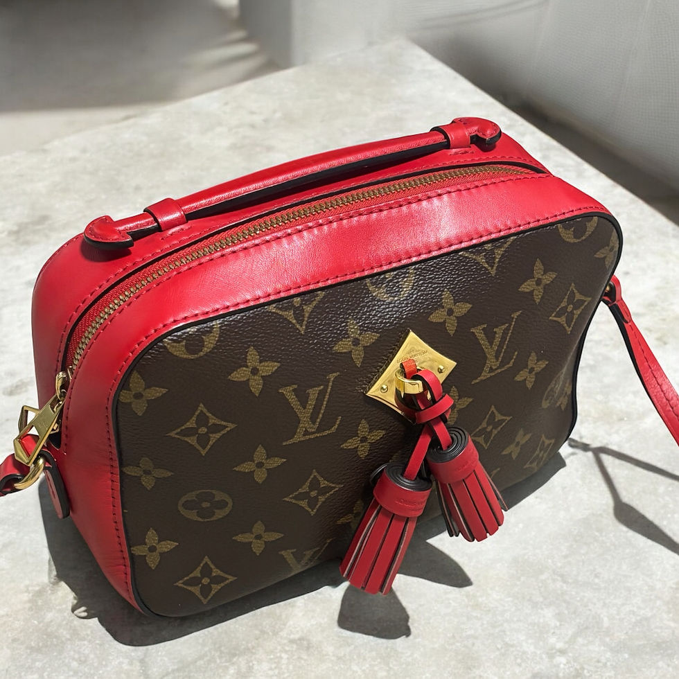 Thumbnail: 2018’ Louis Vuitton Monogram Saintonge