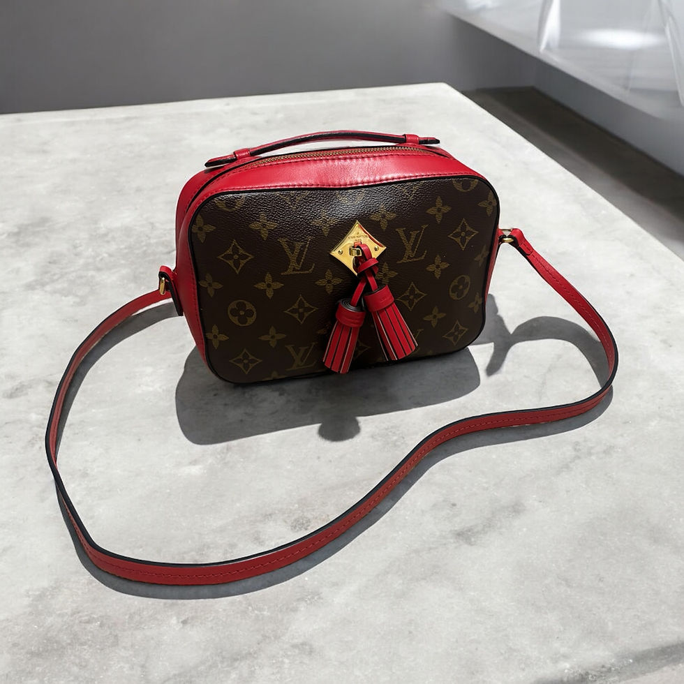 Imej kecil: 2018’ Louis Vuitton Monogram Saintonge