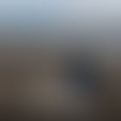 Губит людей не пиво. И даже не натальная карта