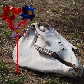 Если всё пошло не так