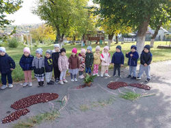 photo_5382333744561639337_y