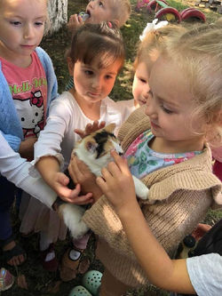 photo_5382333744561639243_x (1)