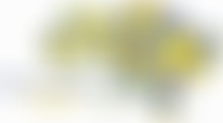 День Соборності України