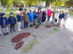 photo_5382333744561639331_y