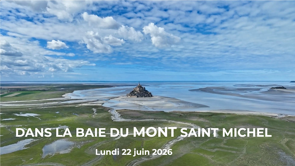 DANS LA BAIE DU MONT SAINT MICHEL