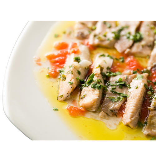 Bluefish | Chatham Harvesters