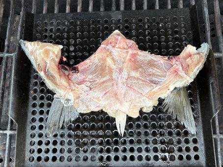 New Favorite on the Grill: Bluefish Collar!