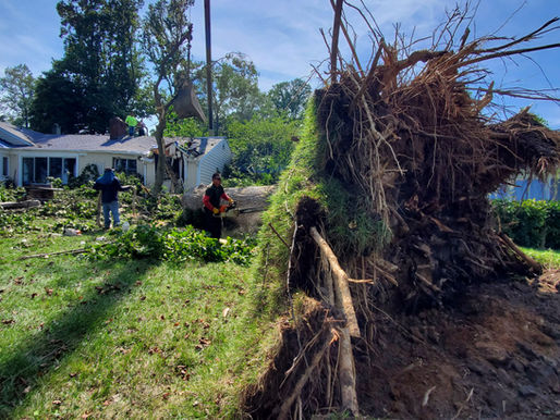 Handling Insurance Claims for Home Remodeling in Calvert County with J Square Construction Inc