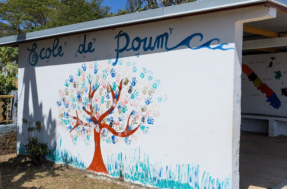 Rentrée scolaire 2026 : calendrier, transport et cantine