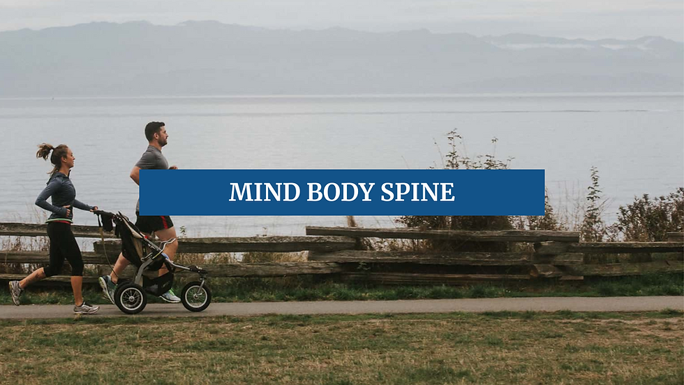 Mind Body spine.png
