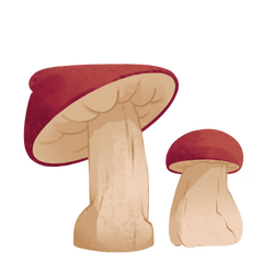 Mushroom Asset