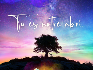 Tempo di Creazione 2025: SETTIMANA 03