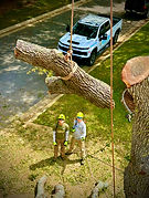4-22-2026_edited.jpg