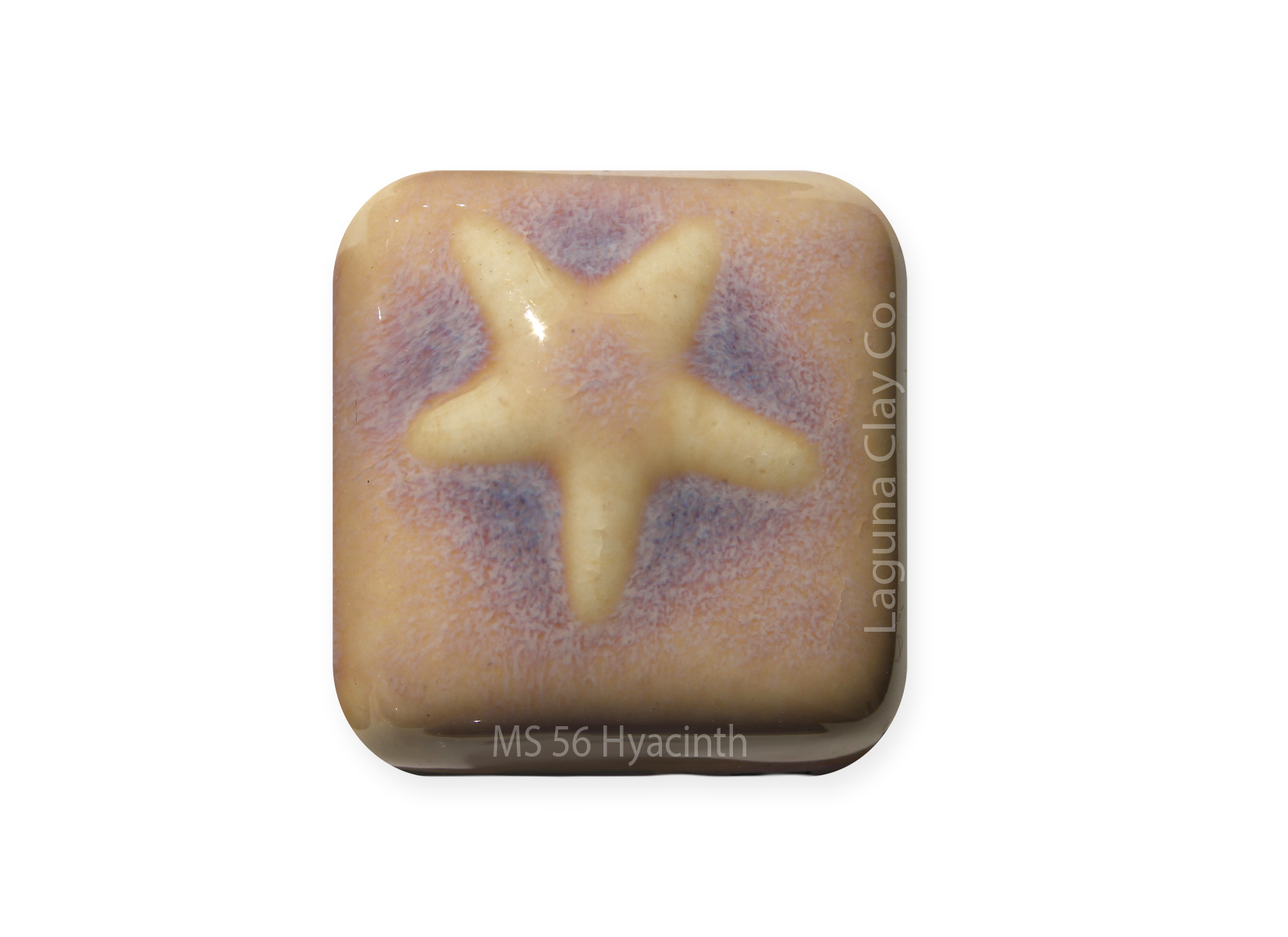 MS-56 Hyacinth