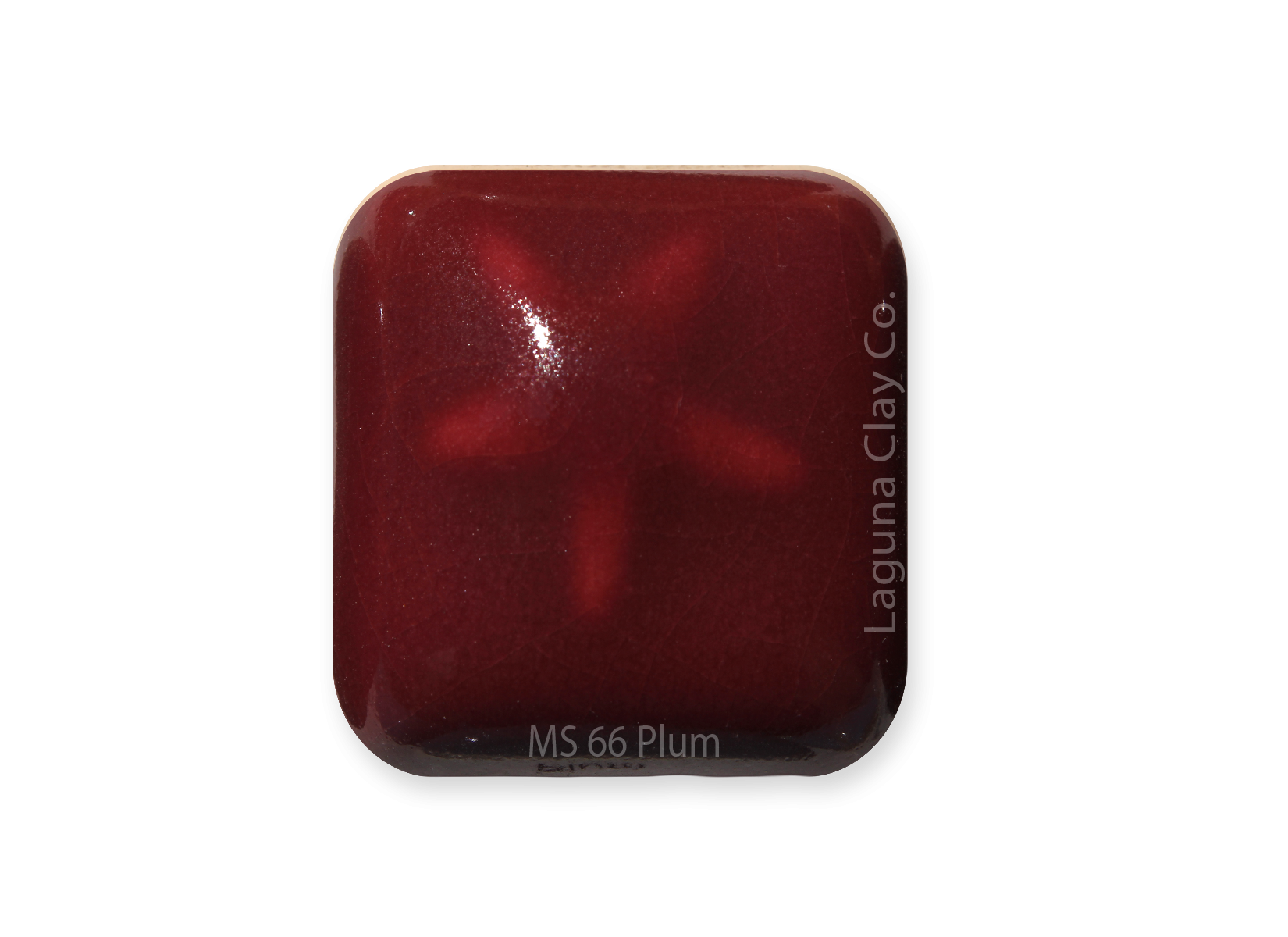 MS-66 Plum