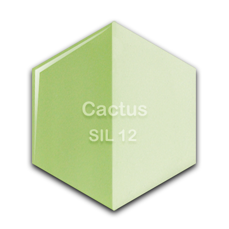 SIL-12 Cactus