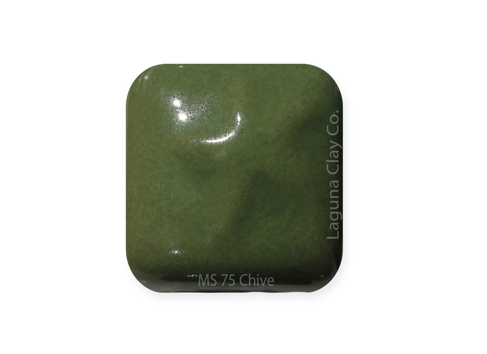MS-75 Chive