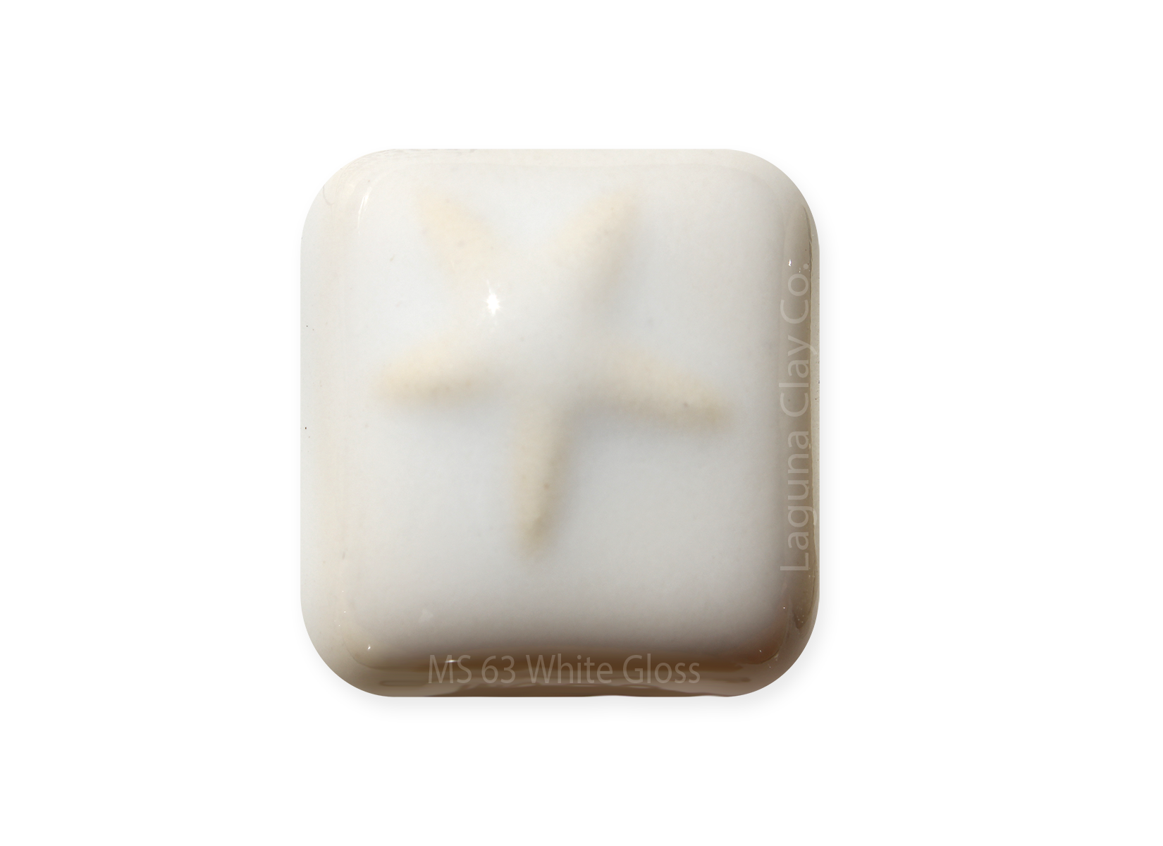 MS-63 White Gloss