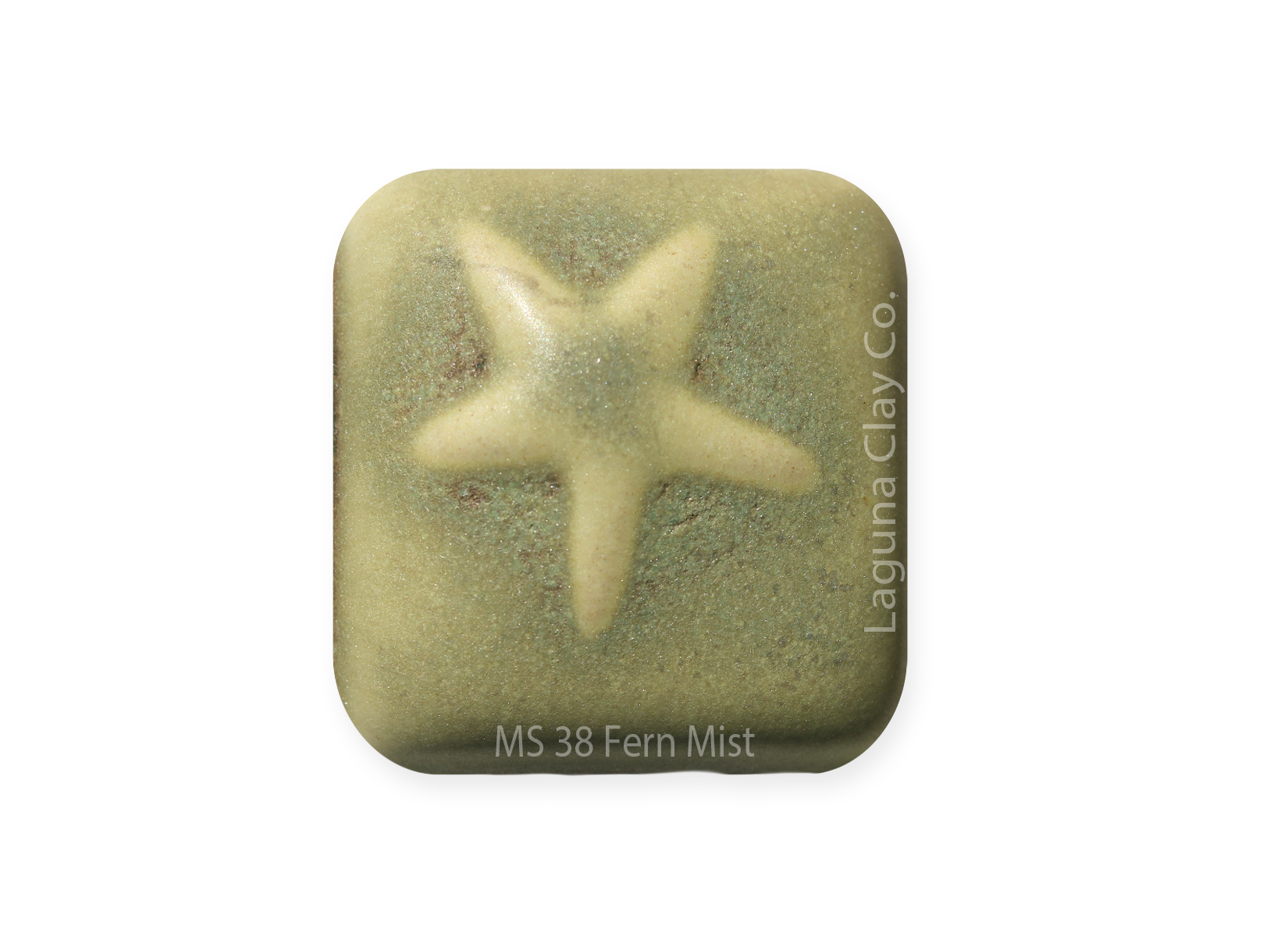 MS-38 Fern MIst